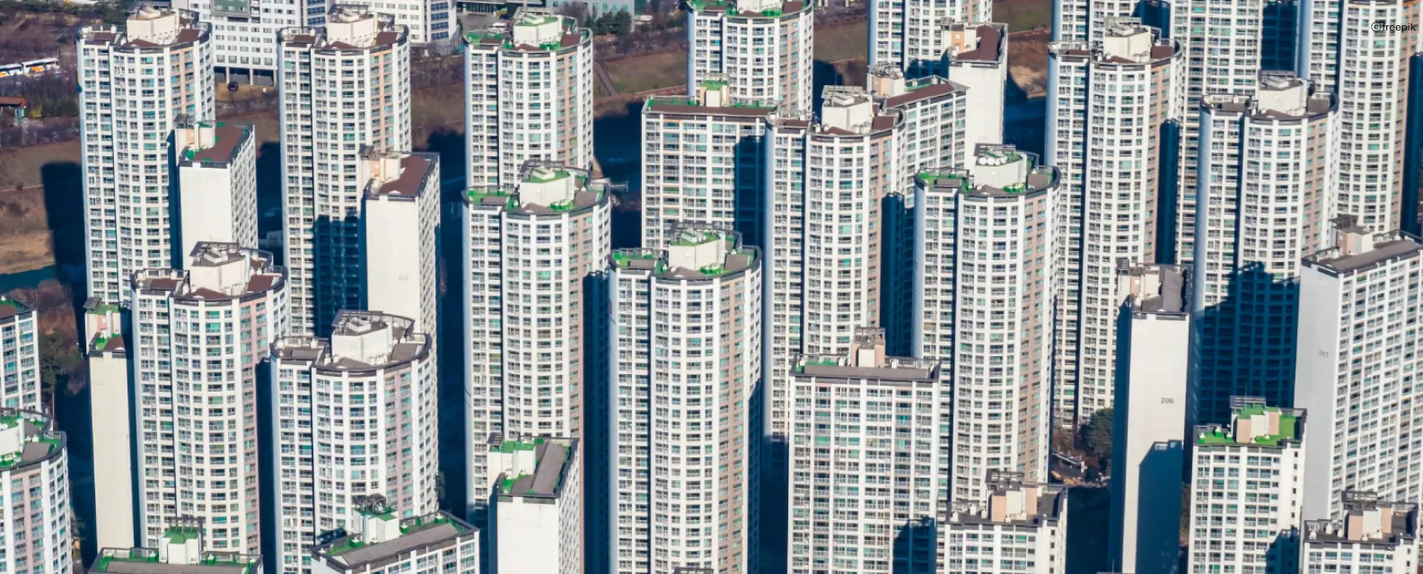 🔥국감 외 정치 소식: 부동산 대책·지선 준비·마약수사 외압 의혹 등