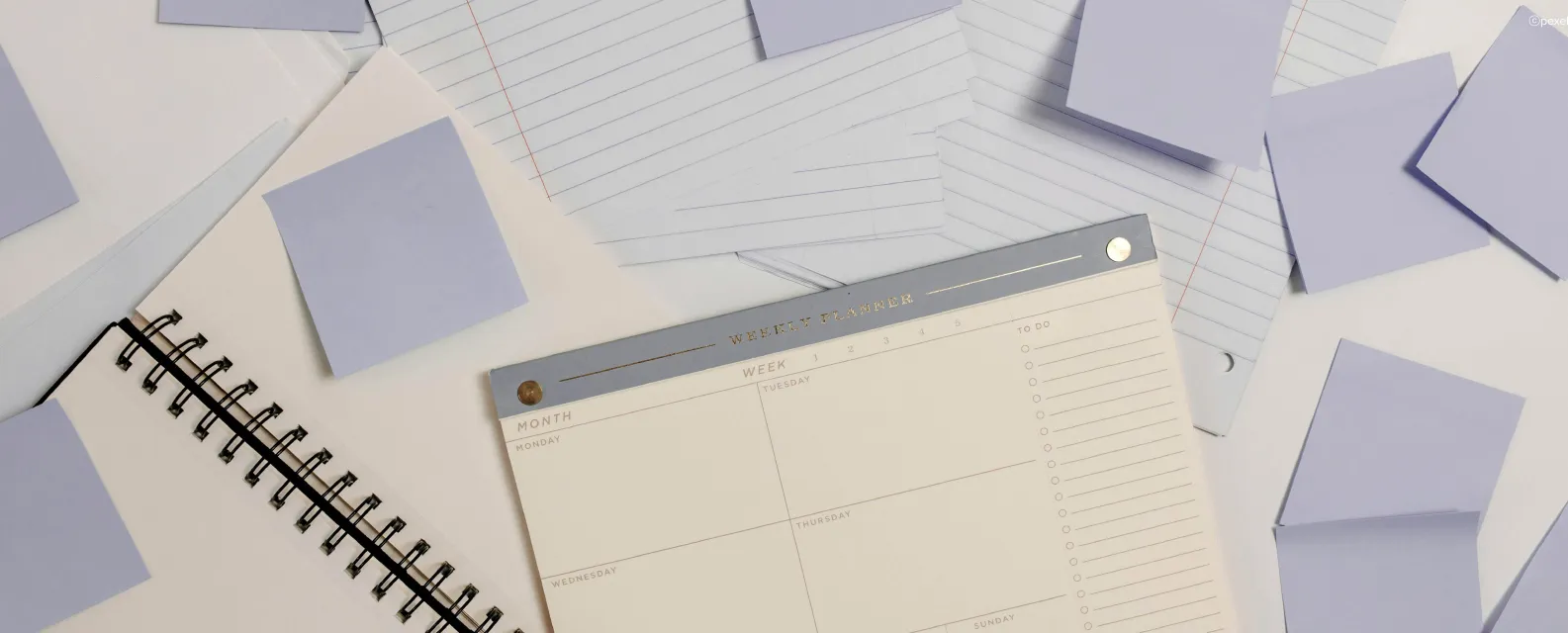 🗒️의정보고서 제작, 캘린더로 관리하기