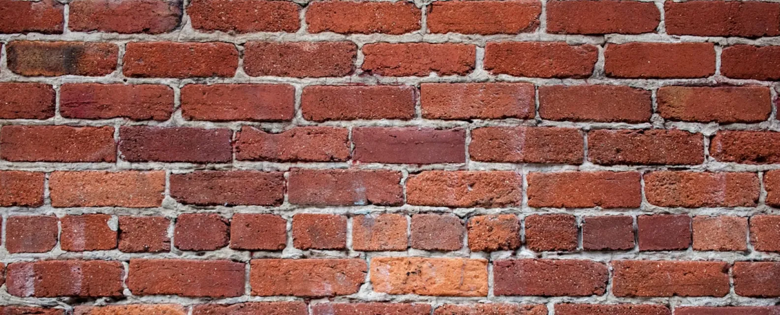 조국혁신당·진보당·개혁신당, 3당 3색의 지방선거 전략