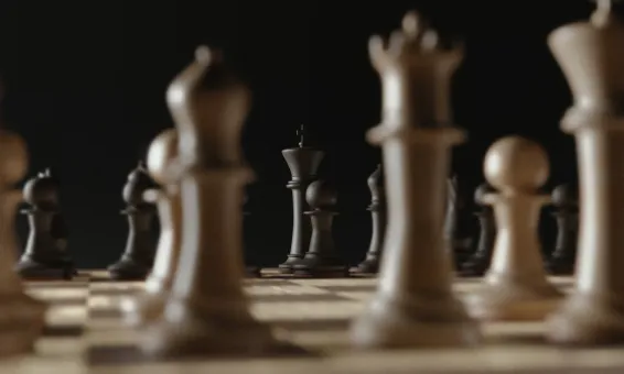 선거 캠프 구성의 모든 것(feat. 조직도)