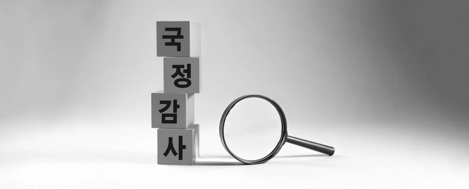 우리 의원실만의 국감 발표 자료 만드는 방법